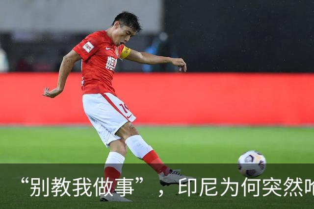 “别教我做事”，印尼为何突然呛声新加坡？