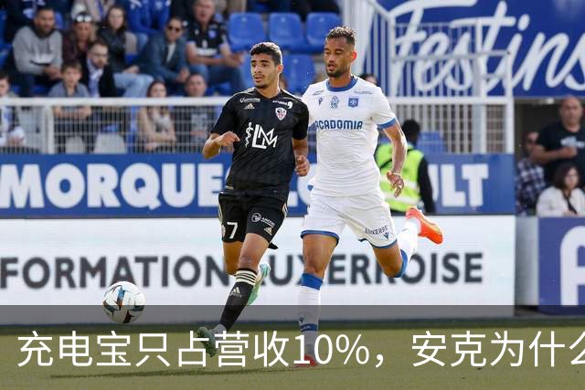 充电宝只占营收10%，安克为什么还要招这么多人？